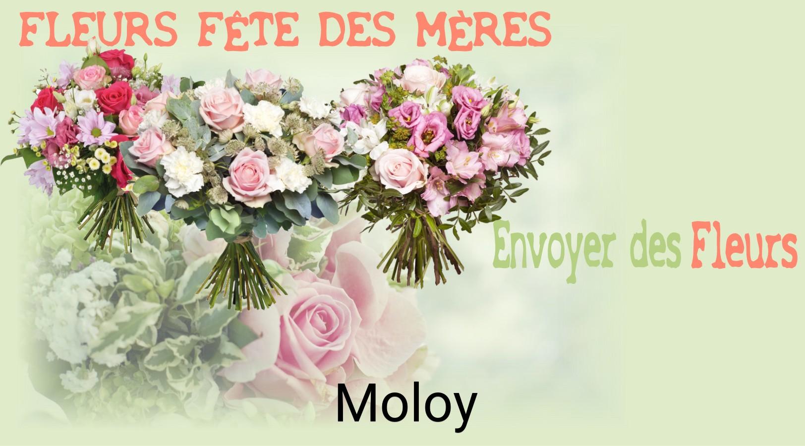 Bouquet de Fête des Mères livré à Moloy